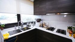 Sims Urban Oasis (D14), Condominium #578571181